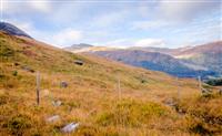 Landscape nr Ft William (By S Capewell)